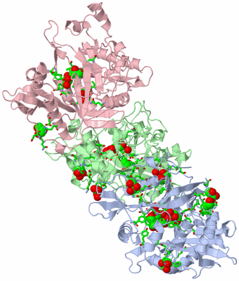 Image Asym./Biol. Unit - sites