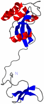 Image NMR Structure - model 1