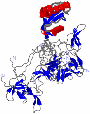 Image NMR Structure - all models