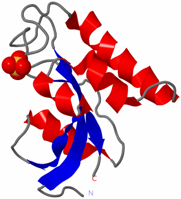 Image NMR Structure - model 1