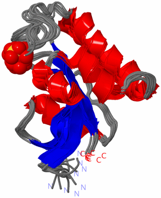 Image NMR Structure - all models