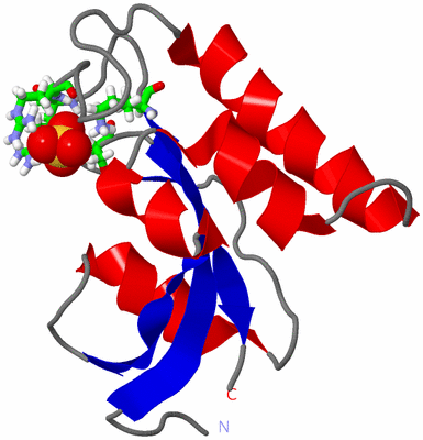 Image NMR Structure - model 1, sites