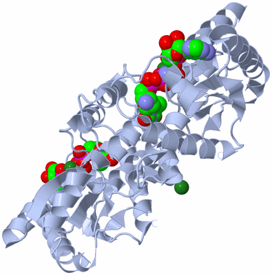 Image Biological Unit 1