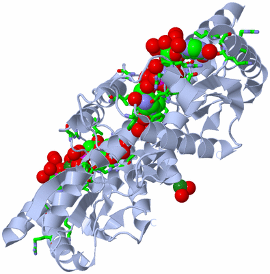 Image Biol. Unit 1 - sites