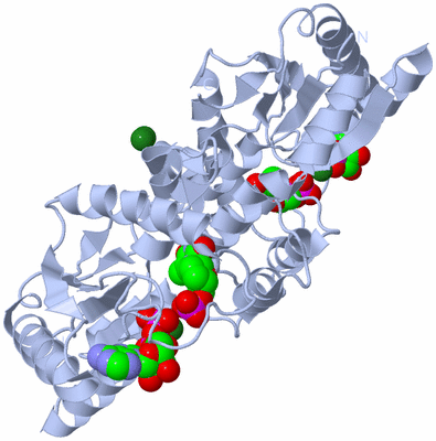 Image Biological Unit 1