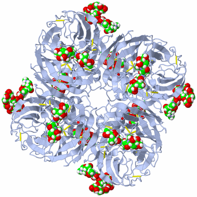 Image Biological Unit 1