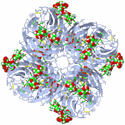 Image Biol. Unit 1 - sites