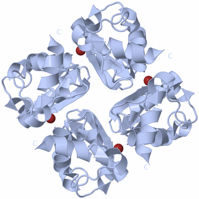 Image Biological Unit 1