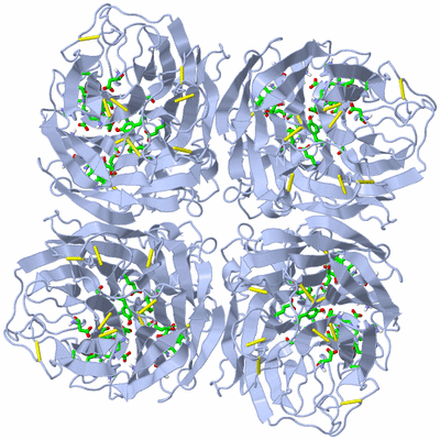 Image Biol. Unit 1 - sites