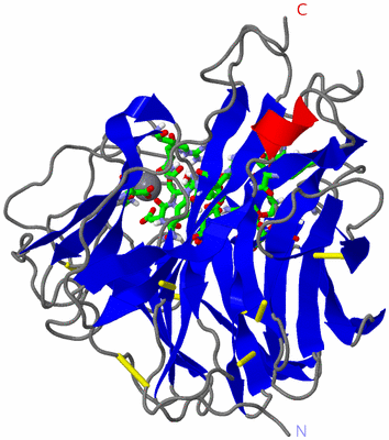 Image Asym. Unit - sites