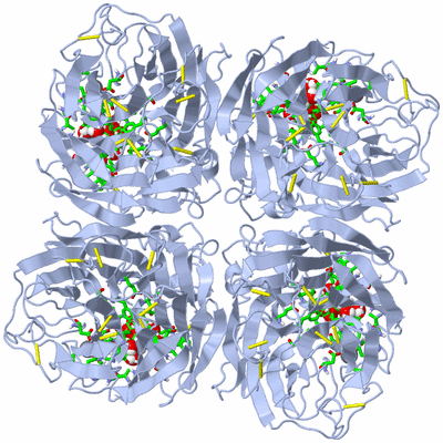 Image Biol. Unit 1 - sites