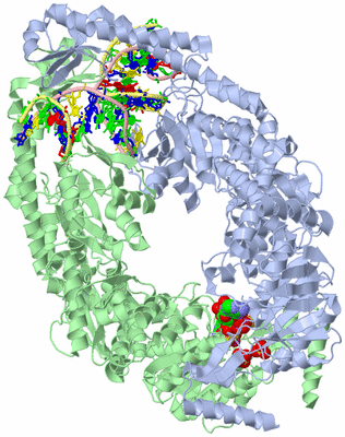 Image Asym./Biol. Unit