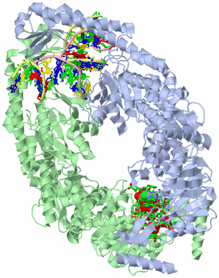 Image Asym./Biol. Unit - sites