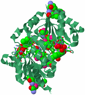 Image Biol. Unit 1 - sites