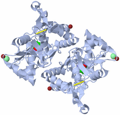 Image Biological Unit 1