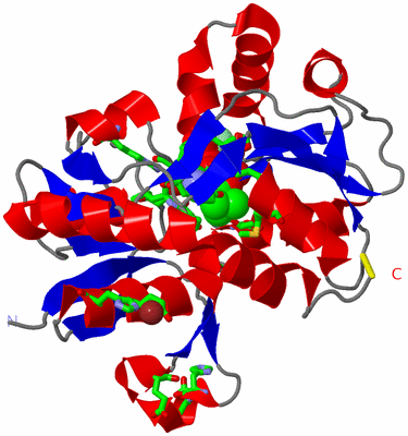 Image Asym. Unit - sites