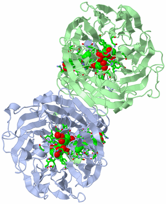 Image Asym./Biol. Unit - sites