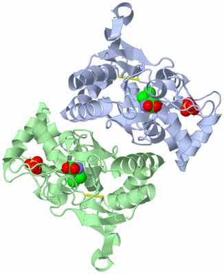 Image Asym./Biol. Unit