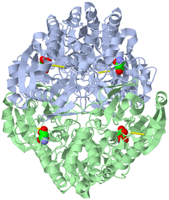 Image Biological Unit 1