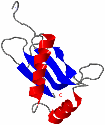 Image NMR Structure - model 1