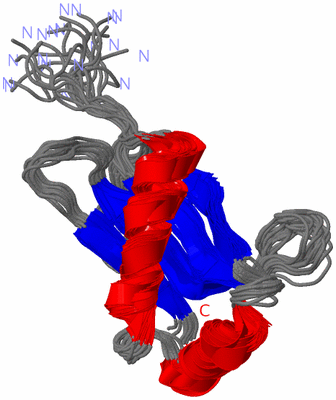 Image NMR Structure - all models