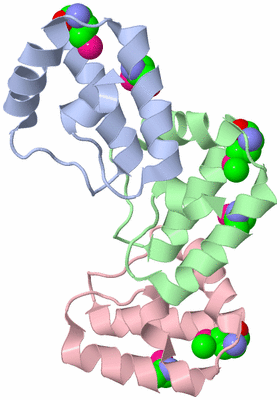 Image Asymmetric Unit