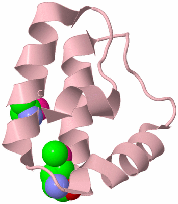Image Biological Unit 3