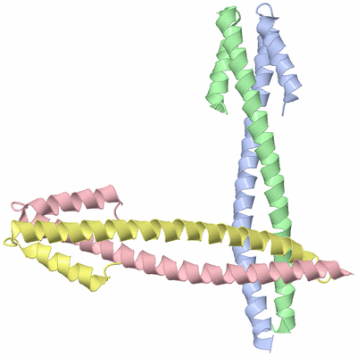 Image Asymmetric Unit