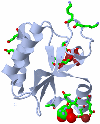 Image Biol. Unit 1 - sites