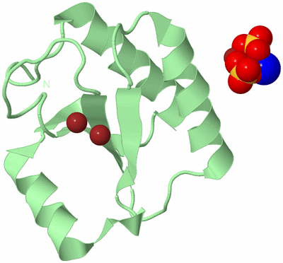 Image Biological Unit 2