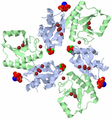 Image Biological Unit 3