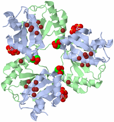 Image Biological Unit 4