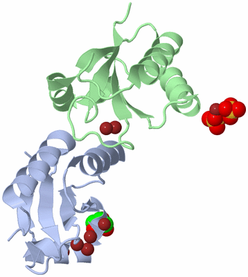 Image Biological Unit 5