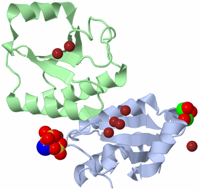 Image Biological Unit 6