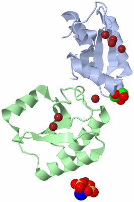 Image Biological Unit 7