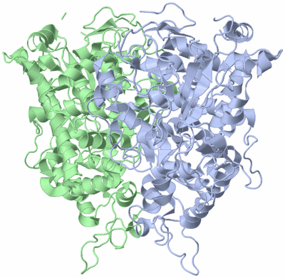 Image Asymmetric Unit