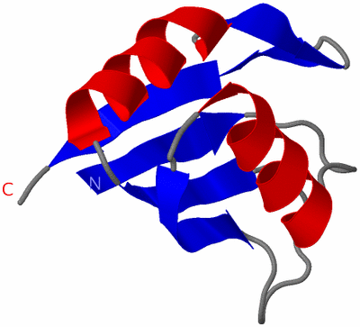 Image NMR Structure - model 1