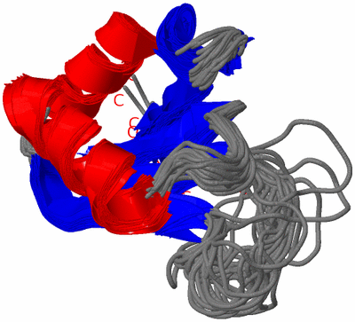 Image NMR Structure - all models