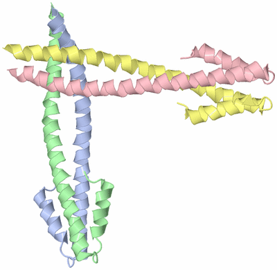 Image Biological Unit 3