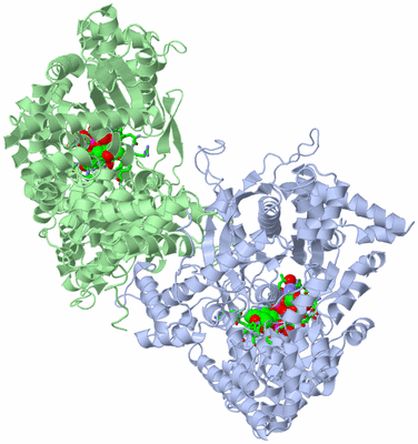 Image Biol. Unit 1 - sites