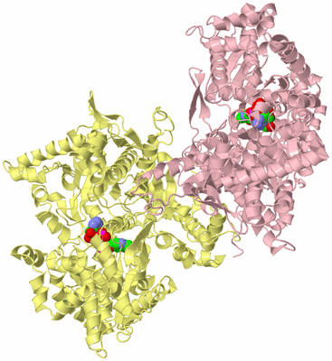 Image Biological Unit 2