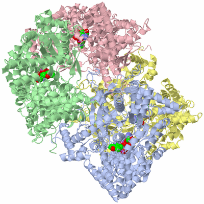 Image Biological Unit 3