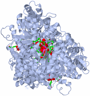 Image Biol. Unit 1 - sites