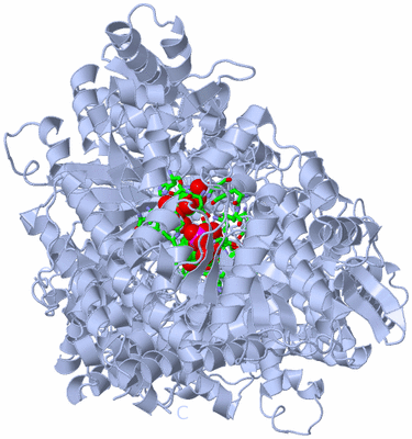 Image Biol. Unit 1 - sites