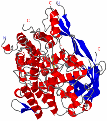 Image Asym./Biol. Unit
