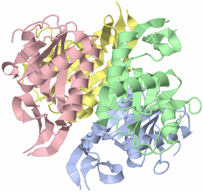 Image Asym./Biol. Unit