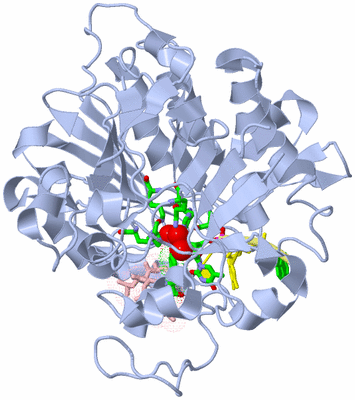 Image Biol. Unit 1 - sites