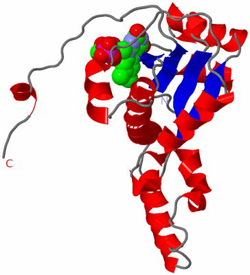 Image Asymmetric Unit