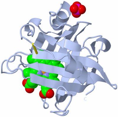 Image Biological Unit 1