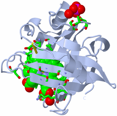 Image Biol. Unit 1 - sites